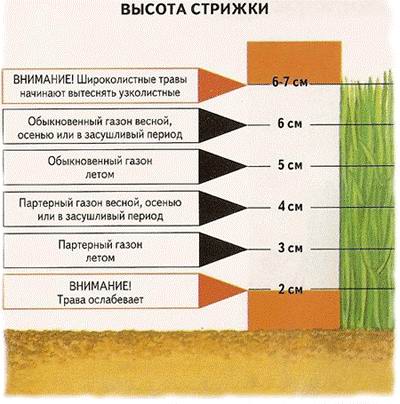 Правильная стрижка газона