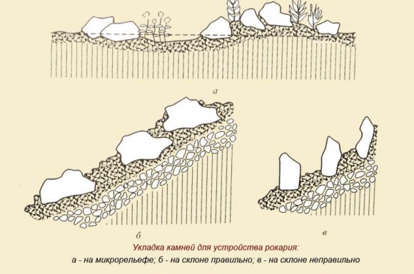 Укладка камней рокария