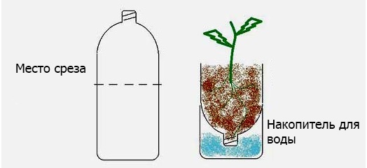 Как сделать вертикальную грядку из пластиковых бутылок своими руками