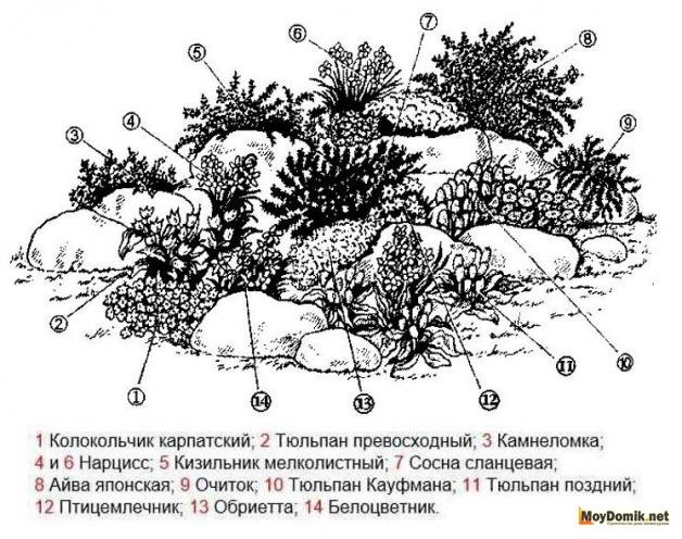 Альпийская горка - схема 2